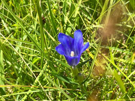 22-07-05 13-23-00 1402